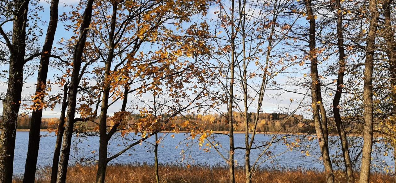 Vila Galadusis Prie Ezero Lazdijai Bagian luar foto